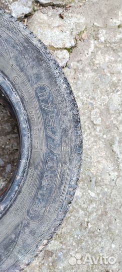 Белшина Artmotion All Seasons Бел-714 175/70 R13