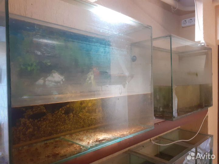 Аквариум 40л 100л 110л