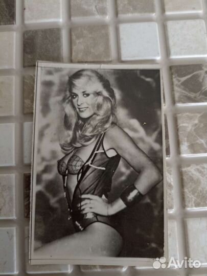 Фото СССР эстрада