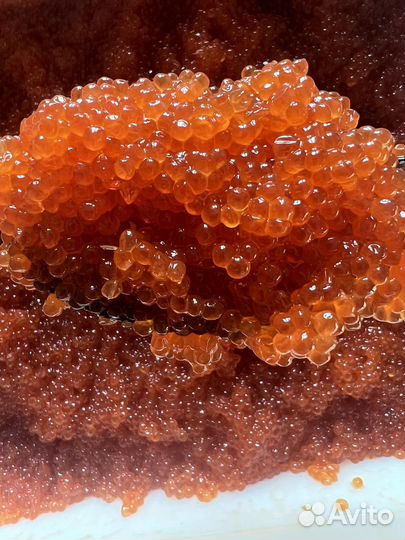 Красная икра горбуши