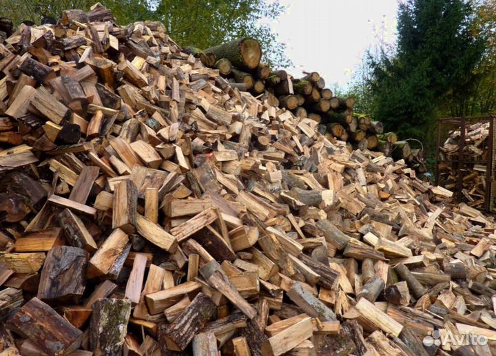 Дрова березовые