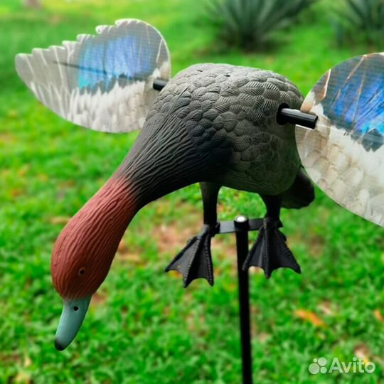 Приманка-махокрыл красноголового нырка