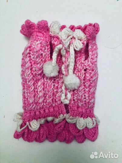 Много одежды для собачки