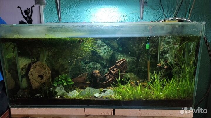 Аквариум