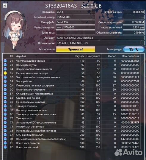 Жесткий диск 320 гб