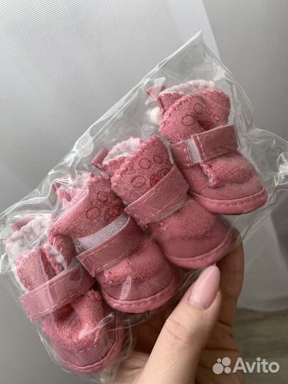 Сапожки для маленьких собак