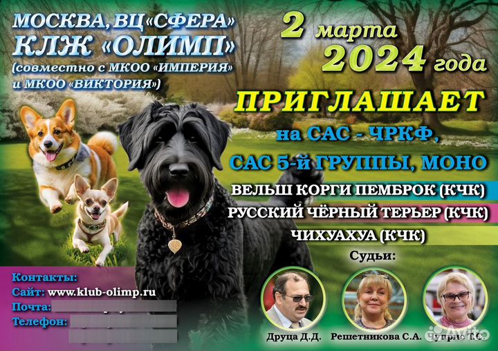Запись на выставку собак 2.03.24г РКФ