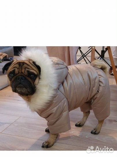 Зимний комбинезон для собаки