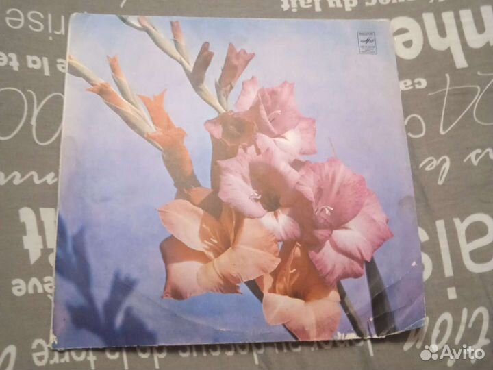 Виниловые пластинки СССР