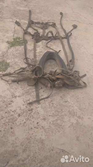 Упряжь для лошади