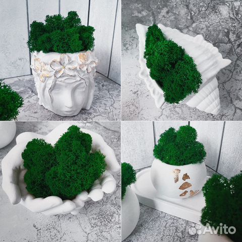 Гипсовое кашпо со мхом и без, подарок