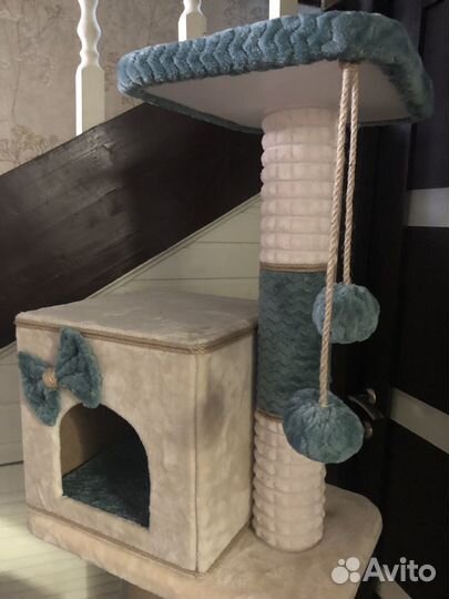 Когтеточка