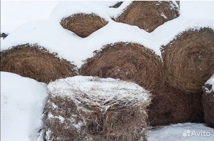 Сено, солома в рулонах