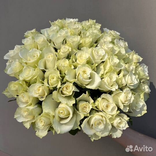 51 роза. Розы 40 см. Букеты. Доставка Калининград