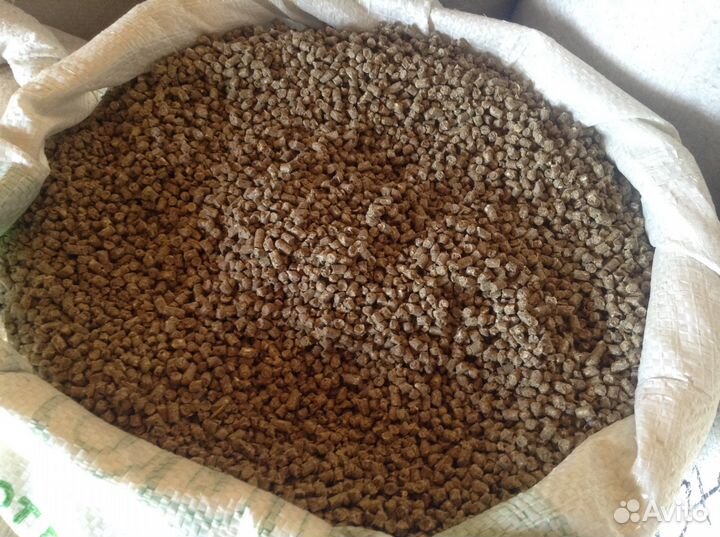 Корм для несушек, цыплят Крупа