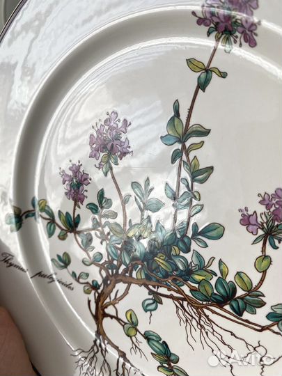 Villeroy&Boch Botanica Тарелка d20,5 см