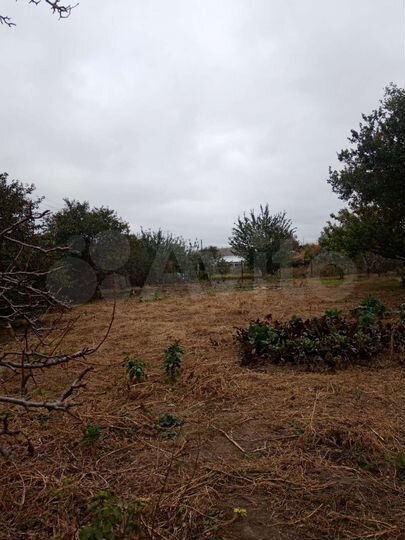 Участок 6 сот. (ИЖС)