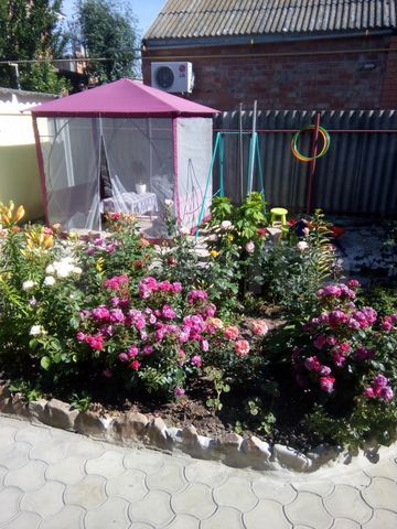 Дом 50 м² на участке 4 сот.