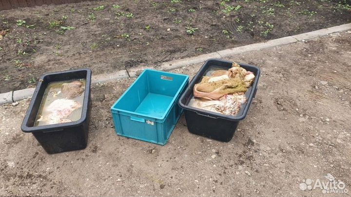 Требуха для собак