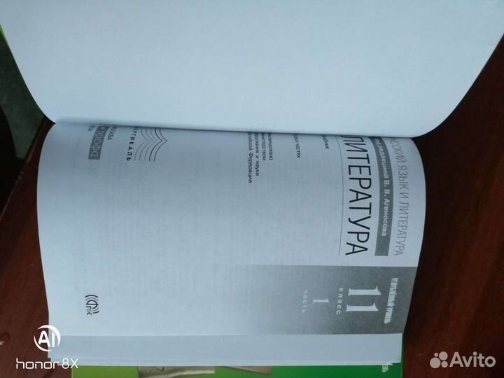 Литература 10-11 класс, углублённый уровень