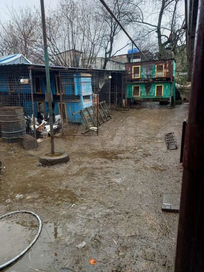 Дом 100 м² на участке 11 сот.