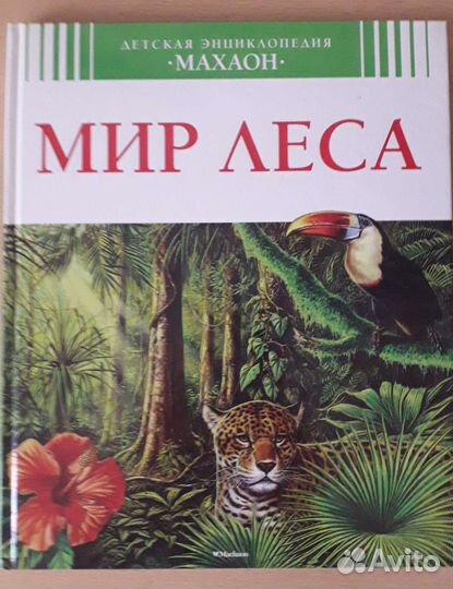 Книга Мир леса