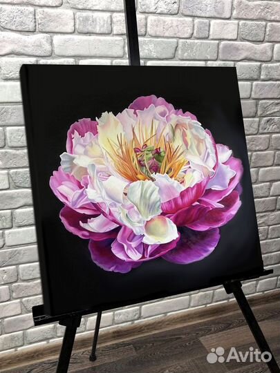 Картина Пион на черном фоне