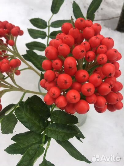 Для фотосессиий ветки рябины