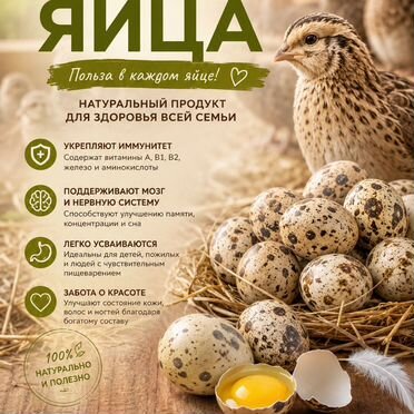 Перепелиные яца 20 шт/ Премиум/ Эко