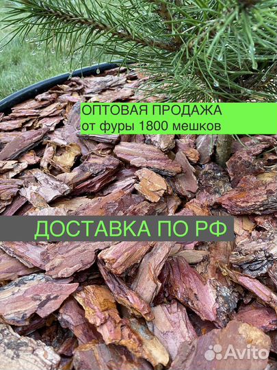 Мульча кора лиственницы только опт
