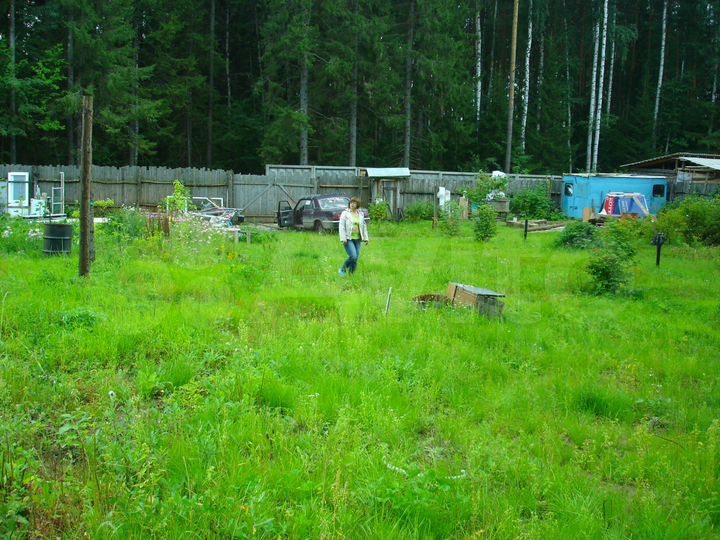 Участок 9,8 сот. (СНТ, ДНП)