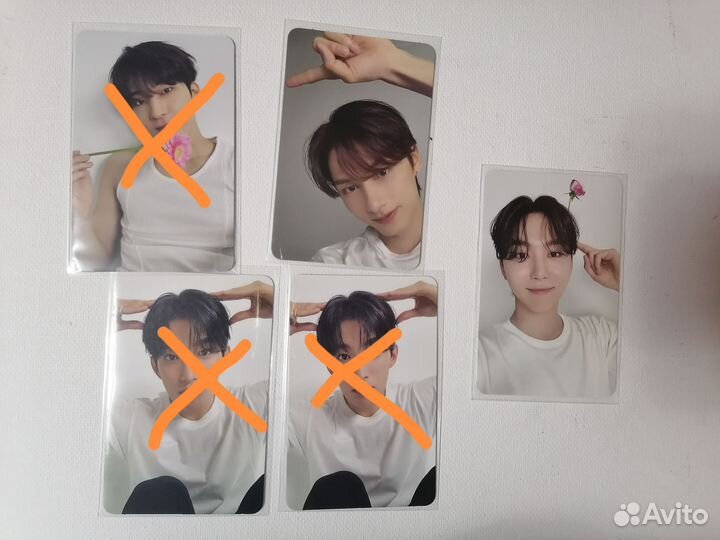 Seventeen Is right here dear ver DK