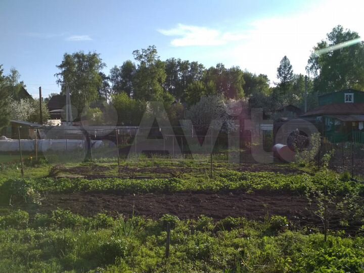 Участок 5,1 сот. (СНТ, ДНП)