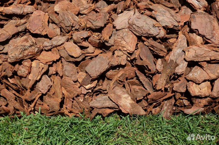 Мульча кора сосновая