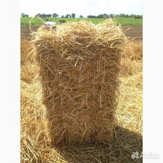 Солома в тюках с доставкой