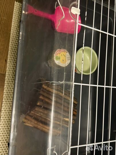 Домик для грызуна