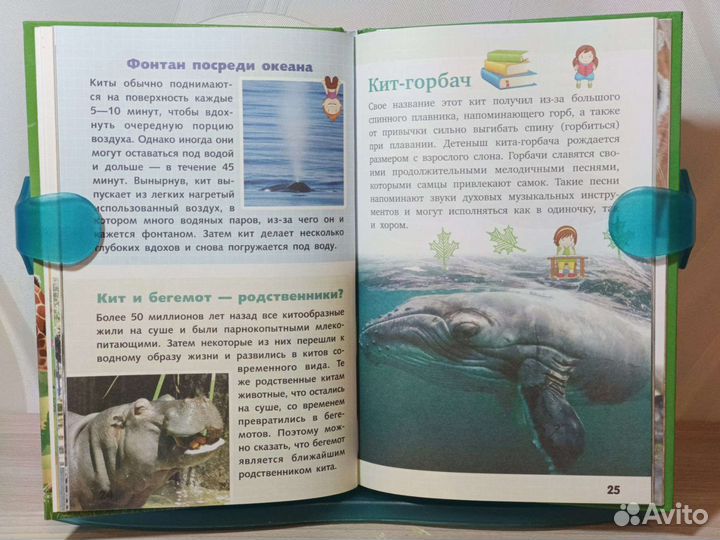 Книга для детей 