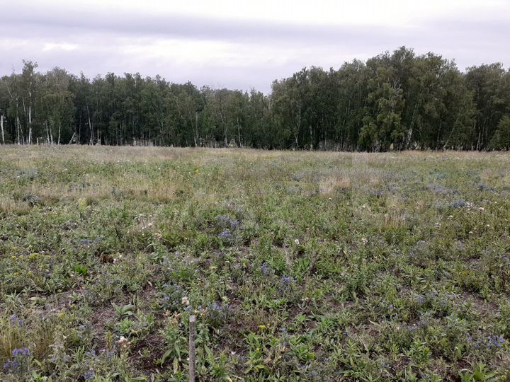 Участок 30 сот. (ИЖС)