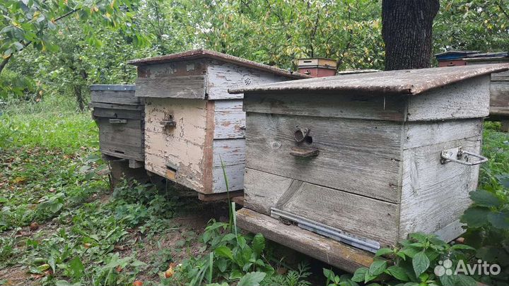 Улей для пчел бу