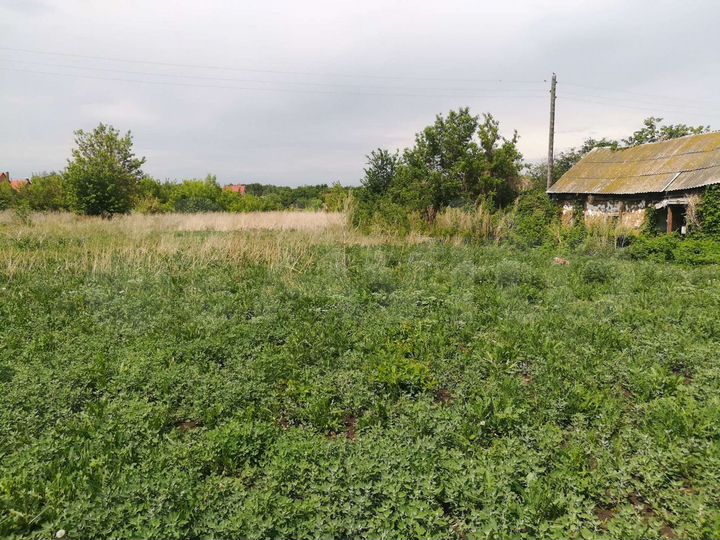 Участок 43,6 сот. (СНТ, ДНП)