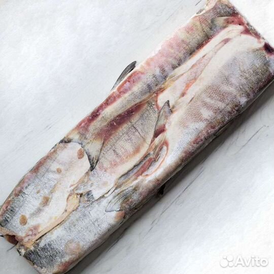 Красная рыба горбуша