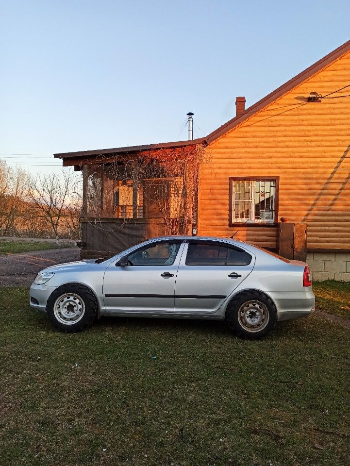 Skoda Octavia: фото владельца