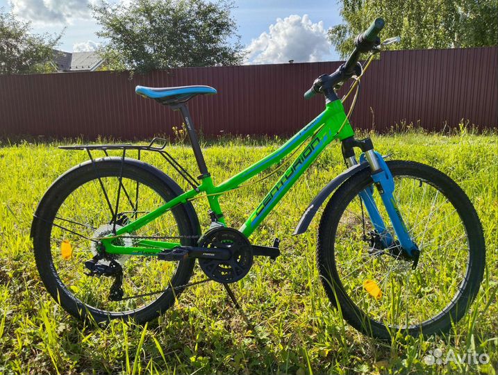 Велосипед Centurion R Bock 24-D 2018 с багажником