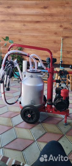 Доильный аппарат для коров