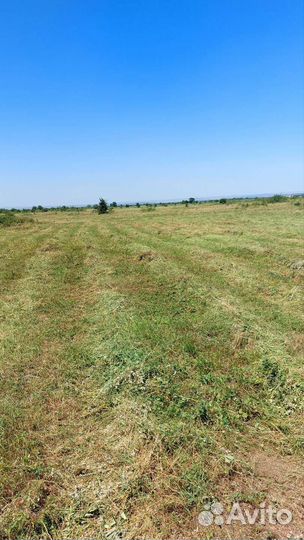 Сено без доставки
