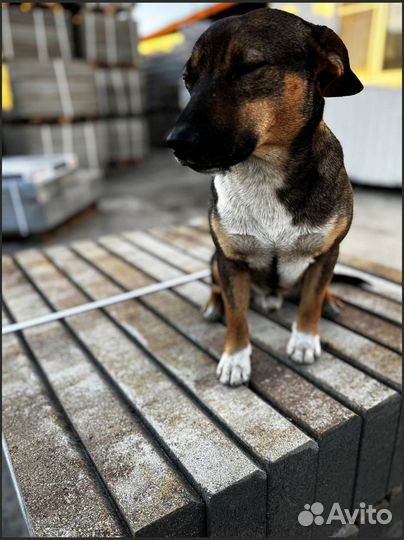 Брусчатка с доставкой