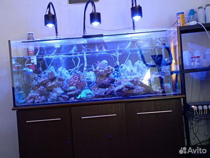 Морской аквариум 450 литров