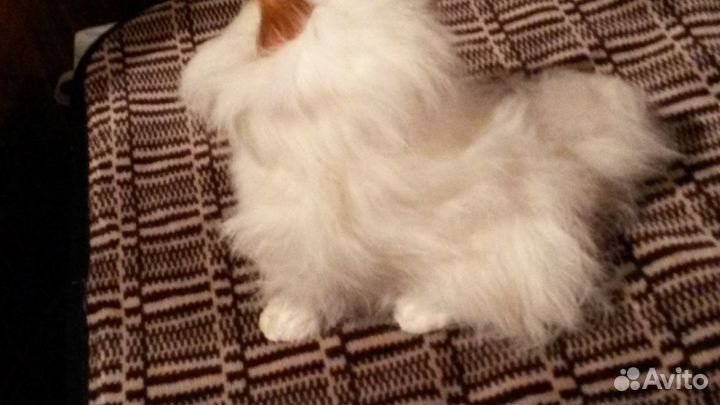 Котенок- ручная работа