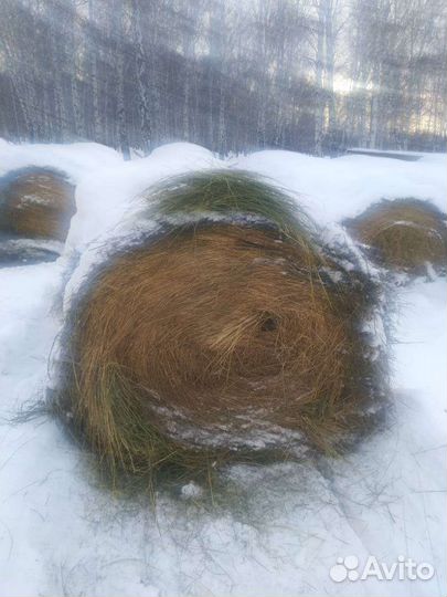 Сено, солома в рулонах, овес