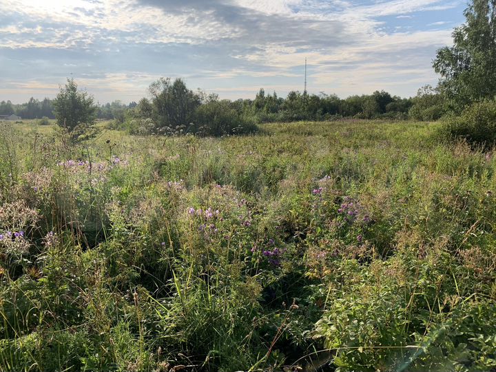 Участок 17 сот. (СНТ, ДНП)